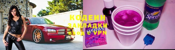 спиды Вяземский