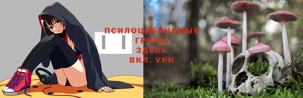 кокс Волоколамск