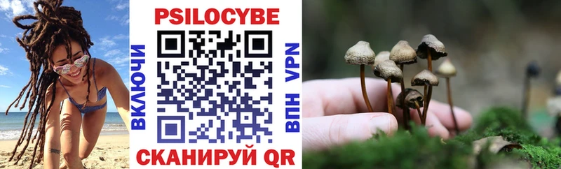 Галлюциногенные грибы Magic Shrooms  Цоци-Юрт 